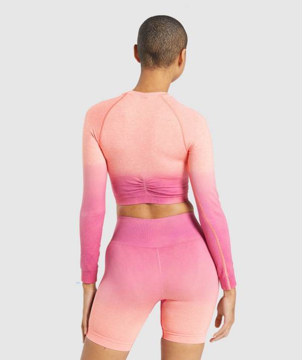 Damske Crop Top Gymshark Adapt Ombre Seamless Long Sleeve Oranžové Ruzove | SY3970865